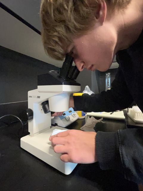 Evan leaning over a Leica compound microscope at a dark bench, adjusting a slide; casual candid in a dim classroom or teaching lab