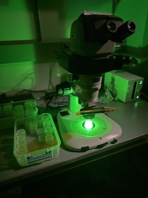 Atmospheric dark-room shot of a stereo microscope glowing green over a fluorescing specimen, with trays of small culture vials beside it; the whole scene is bathed in green GFP-style light