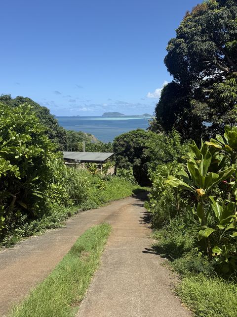 Scenic tropical shot: a narrow concrete road descending between lush greenery toward a turquoise ocean and sandbar under a bright blue sky, one small tin-roof building visible